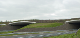 Geluidwal en ecoduct A28 Dwingelderveld